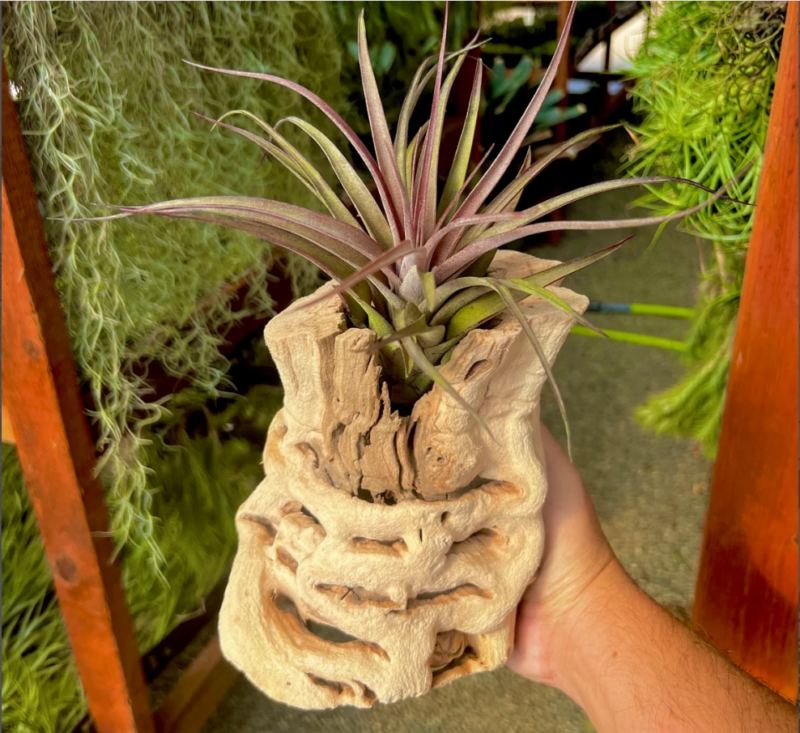Grapewood Vase - Image 3