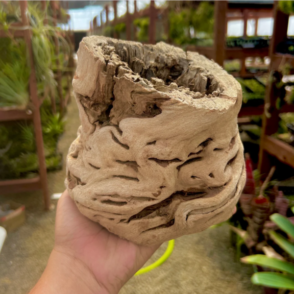 Grapewood Vase