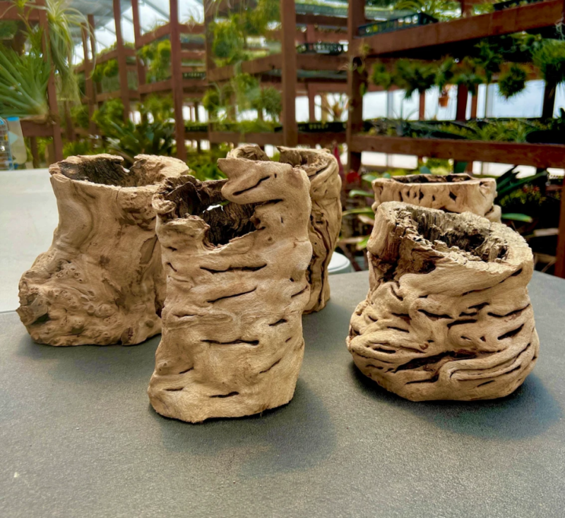 Grapewood Vase - Image 2